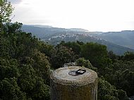 a wooded summit