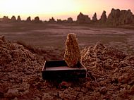 Sunset Rocks