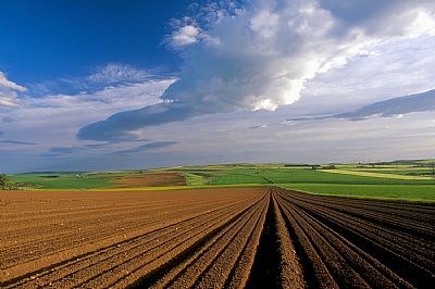 red soil of the mearns by andy hall