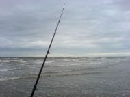 Hoyle Bank