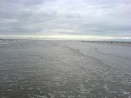 Hoyle Bank