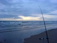 Hoyle Bank
