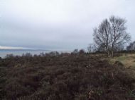 Cleaver Heath