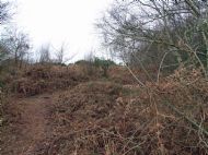 Cleaver Heath