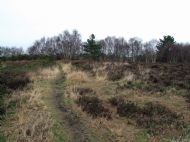 Cleaver Heath