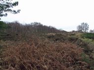 Cleaver Heath