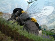 Eden Project