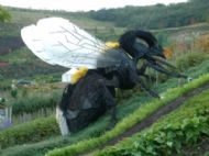 Eden Project
