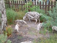 Eden Project