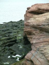 Hilbre Island