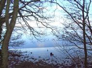 Eastham Ferry
