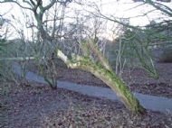 Eastham Ferry