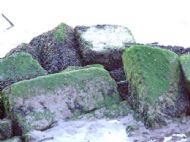 Eastham Ferry