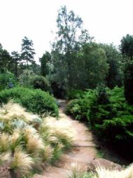 Ness Gardens