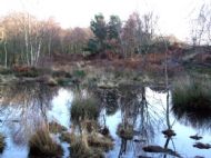 Thurstaston