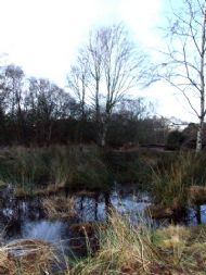 Thurstaston