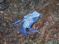 ...... near Gilmerton