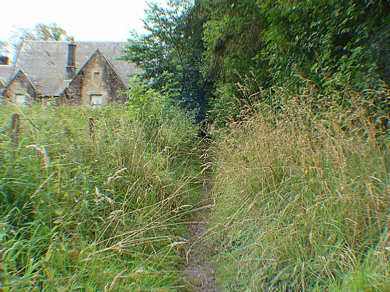 this right of way needs some attention and maintained.