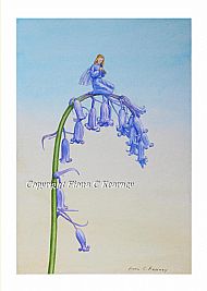 C010 - BLUEBELL FAIRY