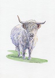 C018 - MUCKLE COO
