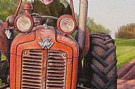 MASSEY FERGUSON - LITTLE FERRY, GOLSPIE.