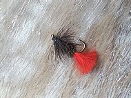 Black Red Tag.