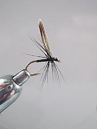 Blae & Black wet fly.