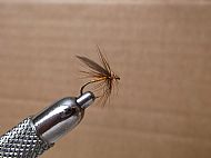 Blae & Ginger wet fly.