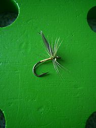 Blae & Light Olive wet fly.