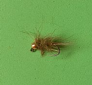 Scruffy Bug.