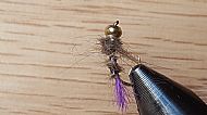 Purple Tag Hare Bug.