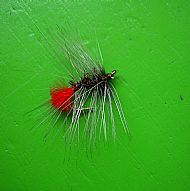 Grayling Witch