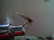 Greenwell wet fly.