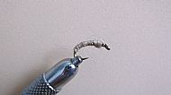Hessian Killer Bug.