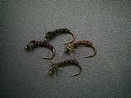 Pheasant Tail Nymphs.