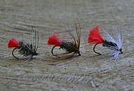 Red Tag Family