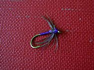 Snipe Purple