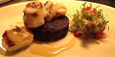 black pudding_scallops
