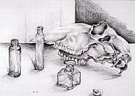 Skull and Bottles