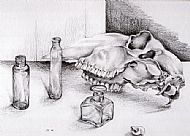 Skull and Bottles