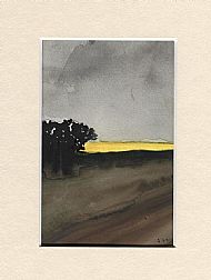 Grey Skies over a Yellow Field