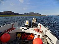 leaving the island