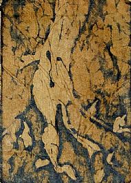 Roots