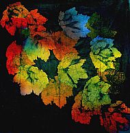 Falling Leaves