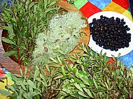plants to use for dying wool