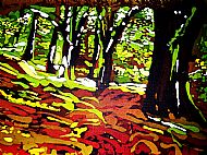 Dalival Beech Woods
