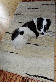 cheviot and hebridean rug