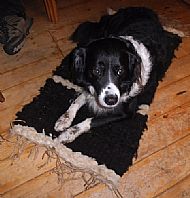 Storm's rug