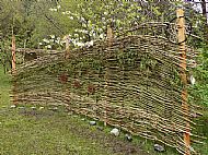 willow and hazel screen