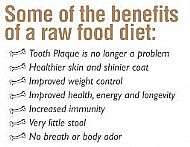 Raw food 